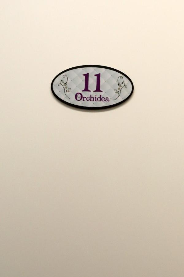 Orchidea Rooms & Suites Civitanova Marche Bagian luar foto
